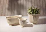 Fluted Pots with plants inside on a table