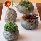 River Stone Vases on a table with flowers