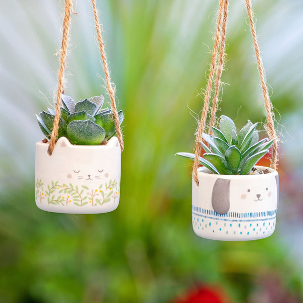 Shaped Hanging Succulent Pots hanging by a plant