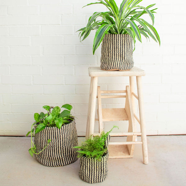 Vertical Stripe Hanging Loop Baskets with plants