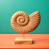 Carved wood shell on a table