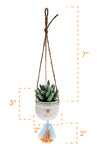 Hanging Succulent Pots