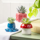 Shaped Succulent Pot
