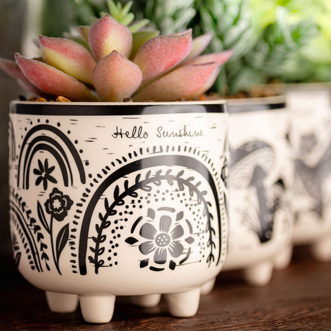 Boho Footed Pots with succulents inside.