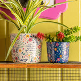 Ceramic Planters on top of wired shelf.