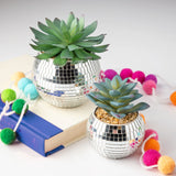 Disco succulent pots on a table with a book