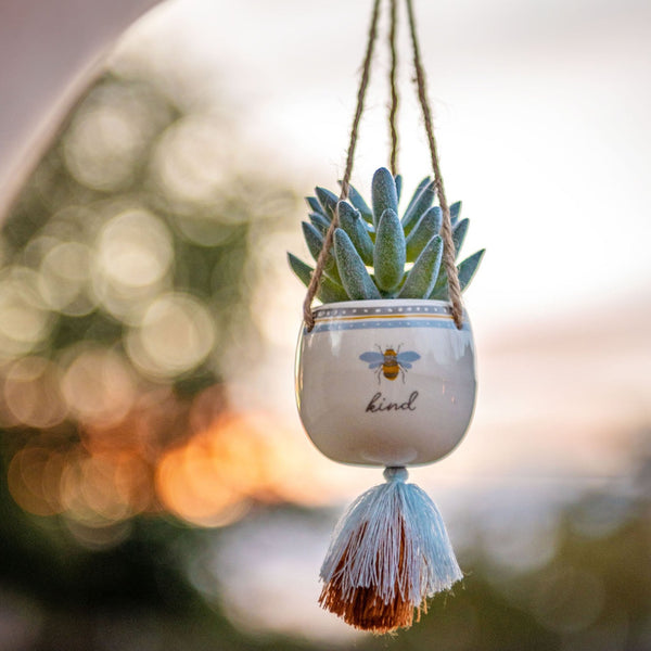 Bee Kind Hanging Succulent Pot hanging in a car