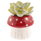 Shaped Succulent Pot
