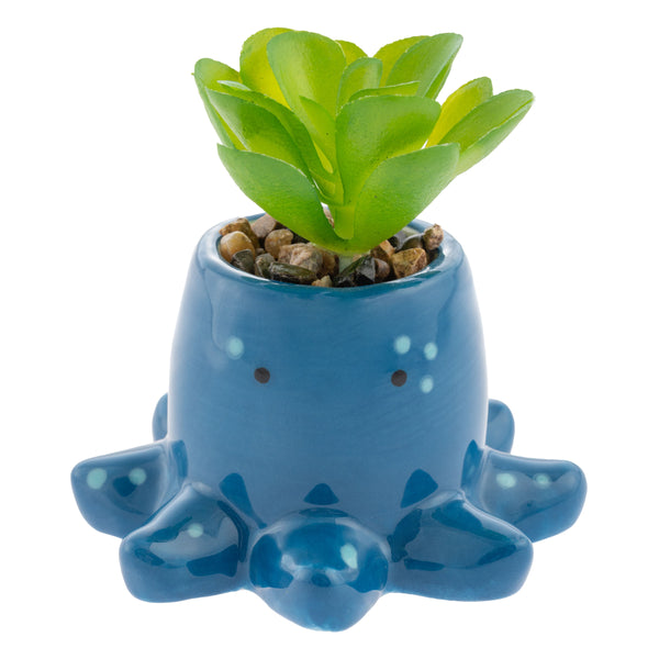 Shaped Succulent Pot