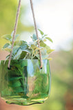 Emerald Hand Blown Hanging Glass Vase with flower in it