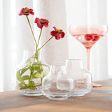 Bubble Glass Vase