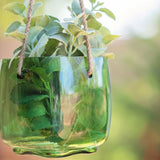 Hand Blown Hanging Glass Vases