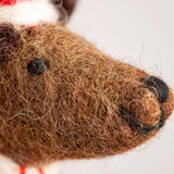 Holiday Hounds