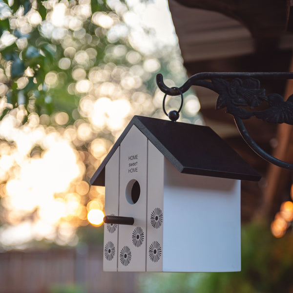 Milo birdhouse hanging outside