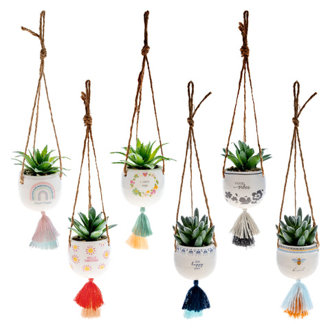 Hanging Succulent Pot Assortment
