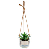 Shaped Hanging Succulent Pot