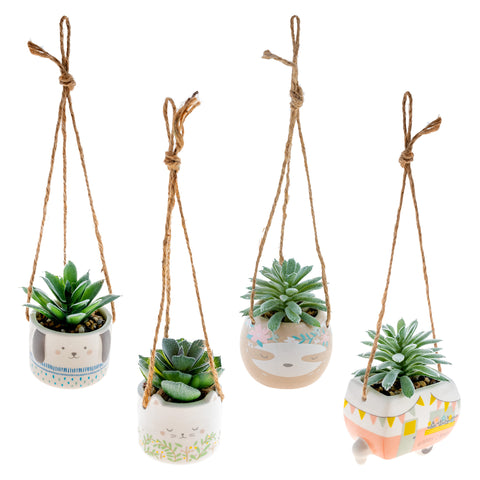 Shaped Hanging Succulent Pot Assortment Variables View