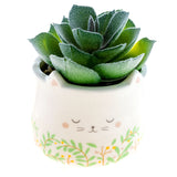 Cat Shaped Succulent Pot