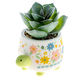 Turtle Shaped Succulent Pot