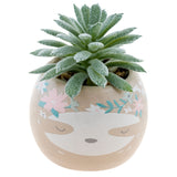 Sloth Shaped Succulent Pot