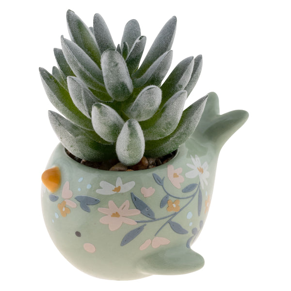 Shaped Succulent Pot