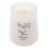 Tropical breeze Mercantile Poured Candle