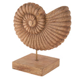 Carved wood shell 