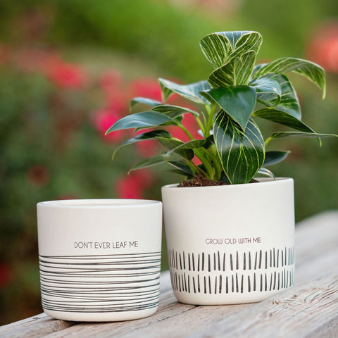 Milo Pots Set of 2
