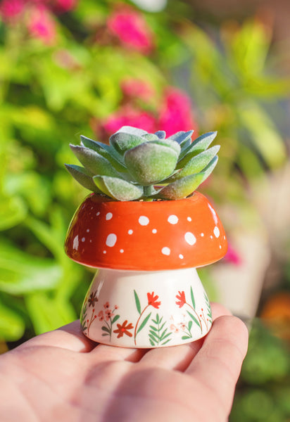 Someone holding mushroom Shaped Succulent Pot